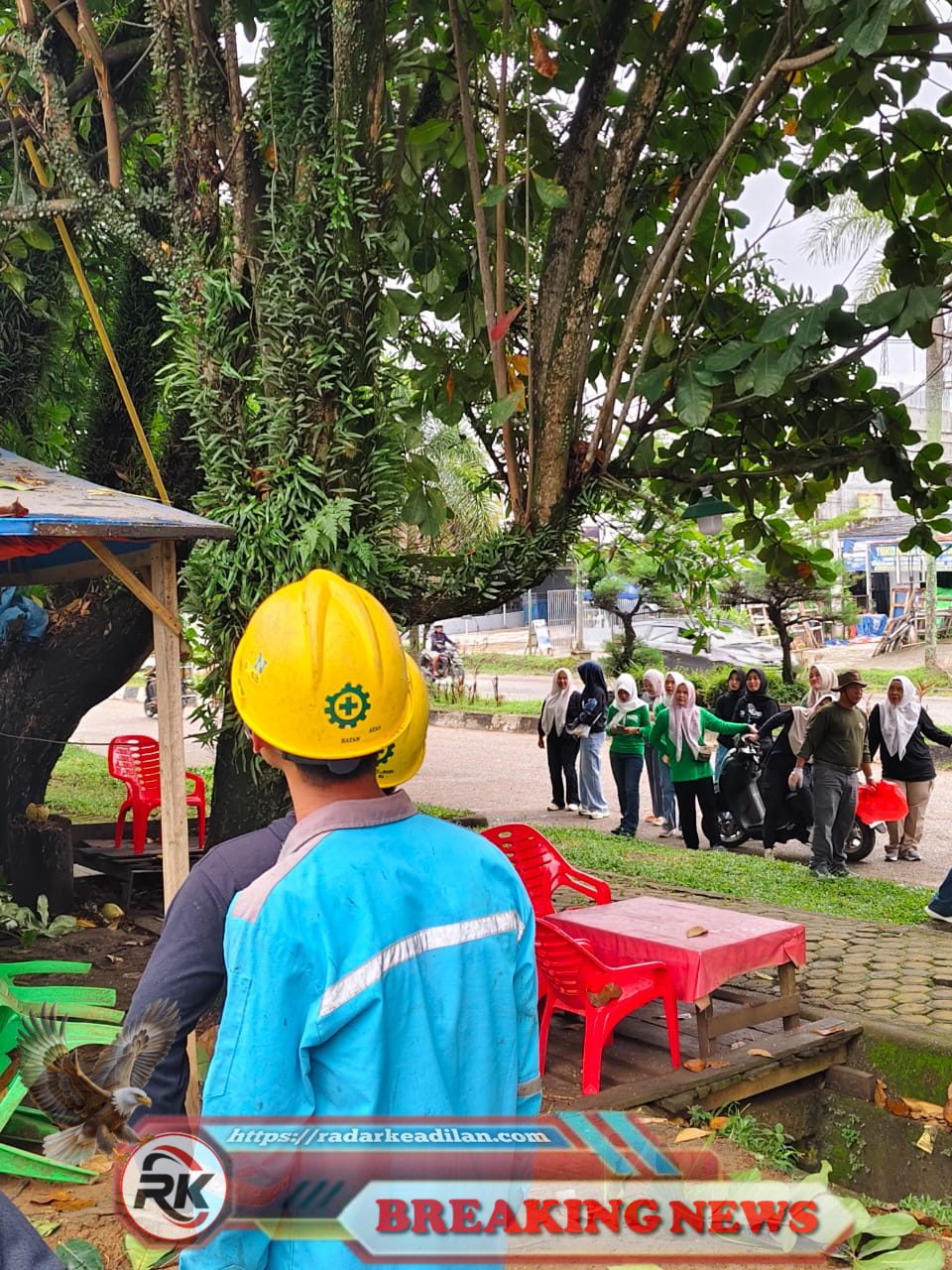 Sinergi Pemda Merangin dan PLN Bersihkan Kota Bangko, Jaga Lingkungan Sekaligus Keandalan Listrik