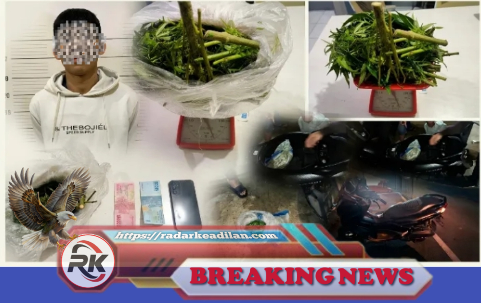 Polres Lahat Amankan Pengedar Ganja 800 Gram Di Tanjung Payang