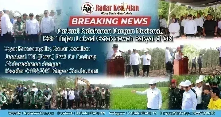 Perkuat Ketahanan Pangan Nasional, KSP Tinjau Lokasi Cetak Sawah Rakyat di OKI