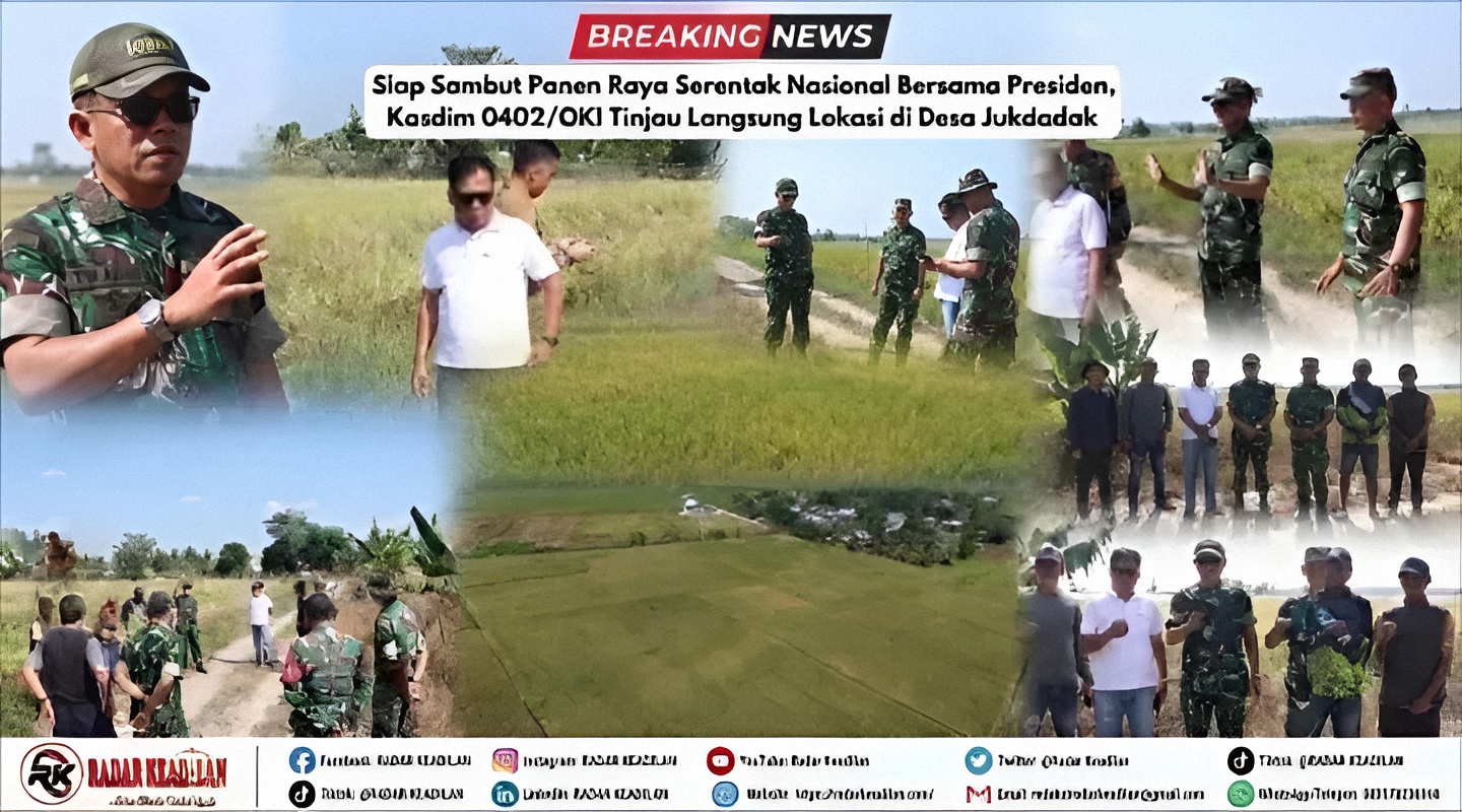 Siap Sambut Panen Raya Serentak Nasional Bersama Presiden, Kasdim 0402/OKI Tinjau Langsung Lokasi di Desa Jukdadak