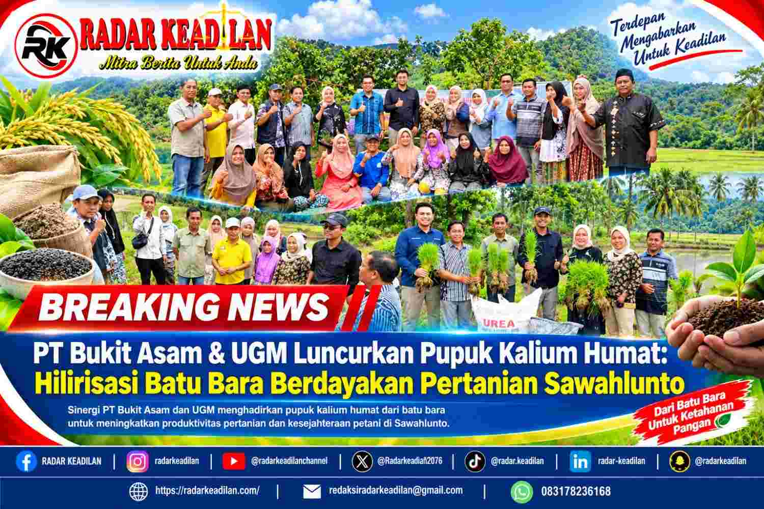 PT Bukit Asam & UGM Luncurkan Pupuk Kalium Humat Hilirisasi Batu Bara Berdayakan Pertanian Sawahlunto
